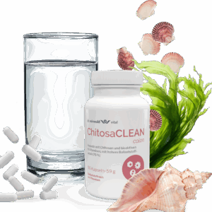 Vitalprodukt mit B-Vitaminen und Chitosan zur darmaktiven Entgiftung