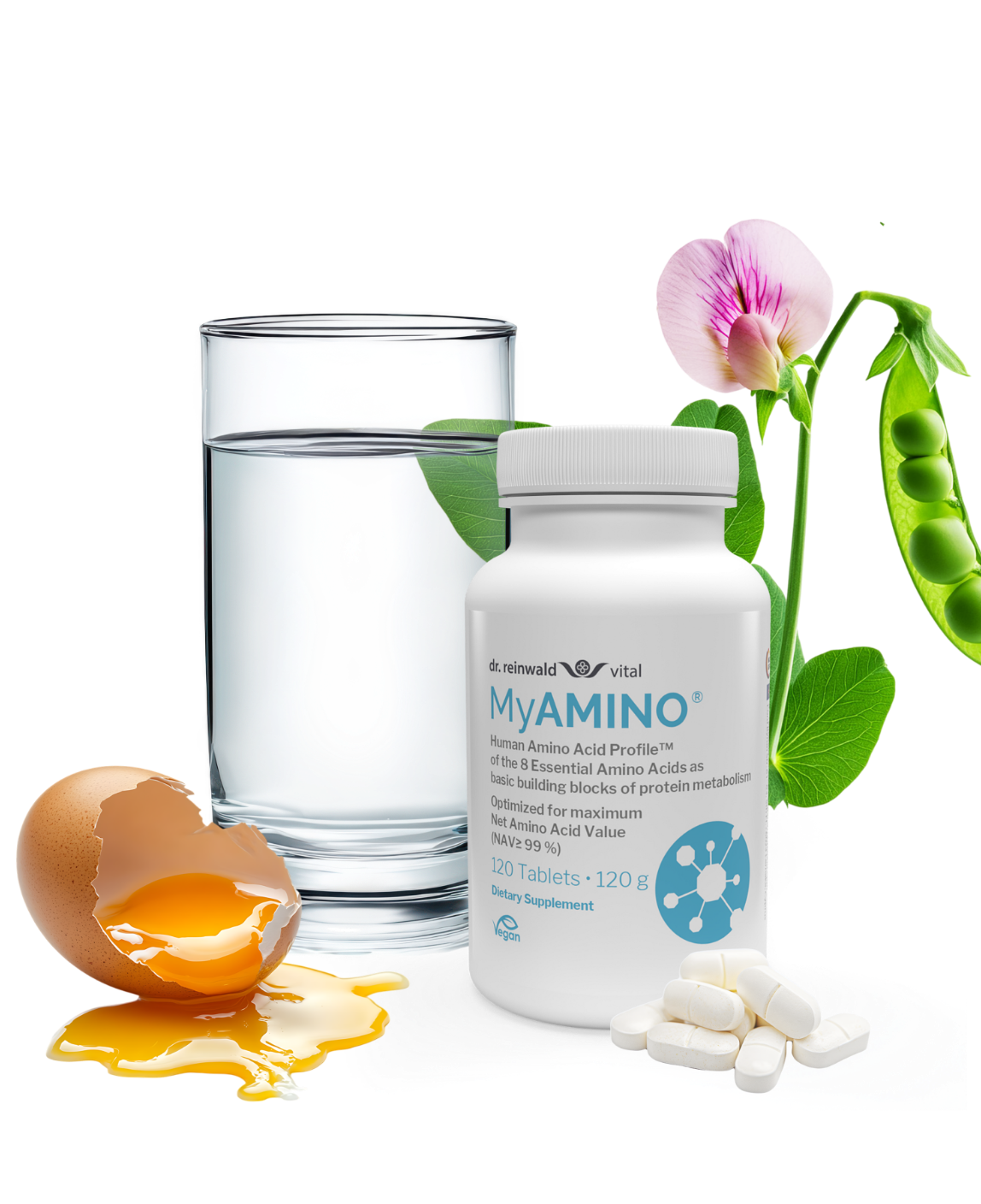 Hochwertiges Proteinprodukt mit den acht essentiellen Aminosäuren