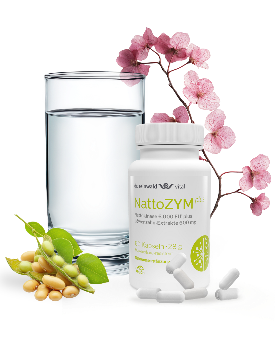 NattoZYM plus