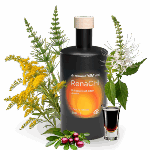 Kräuterbitter mit Schachtelhalm und Katzenbart für die Nieren