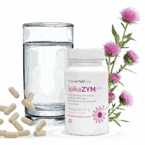 Enzymprodukt mit Mariendistel zur Spaltung von Proteinen wie Spikeproteine und Gluten