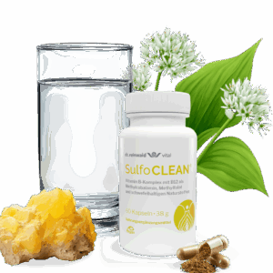 Vitalprodukt mit natürlichem MSM und B-Vitaminen zur Entgiftung und Nahrungsaufwertung