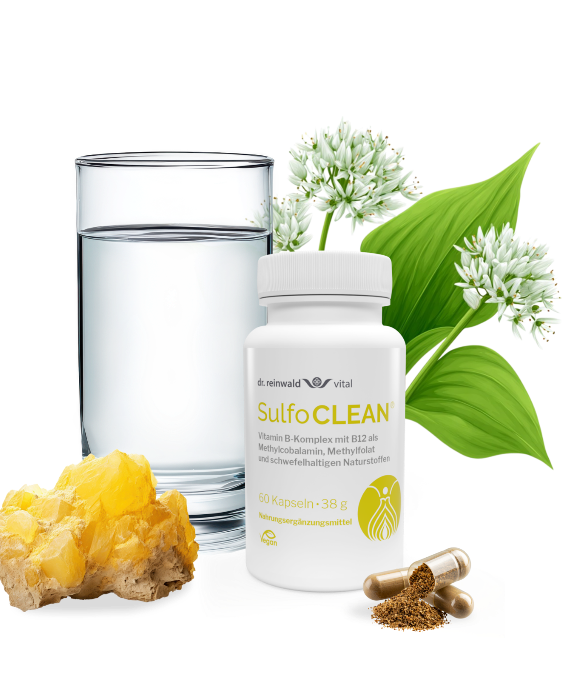 SulfoCLEAN®