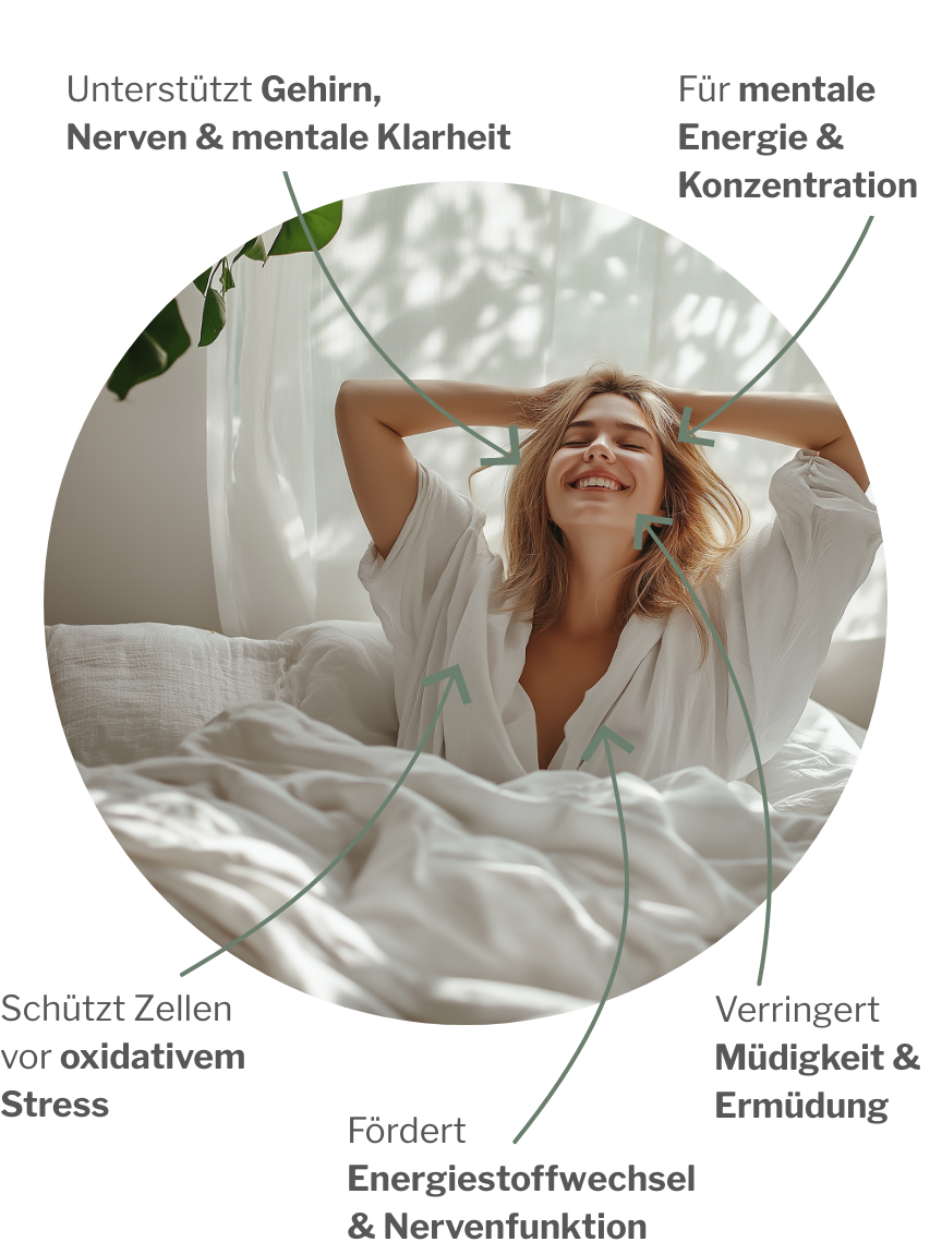 Antioxidative Wirkung von Active H mit den stärksten Antioxidantien weltweit für Leistungsfähigkeit und Energie während des Tags