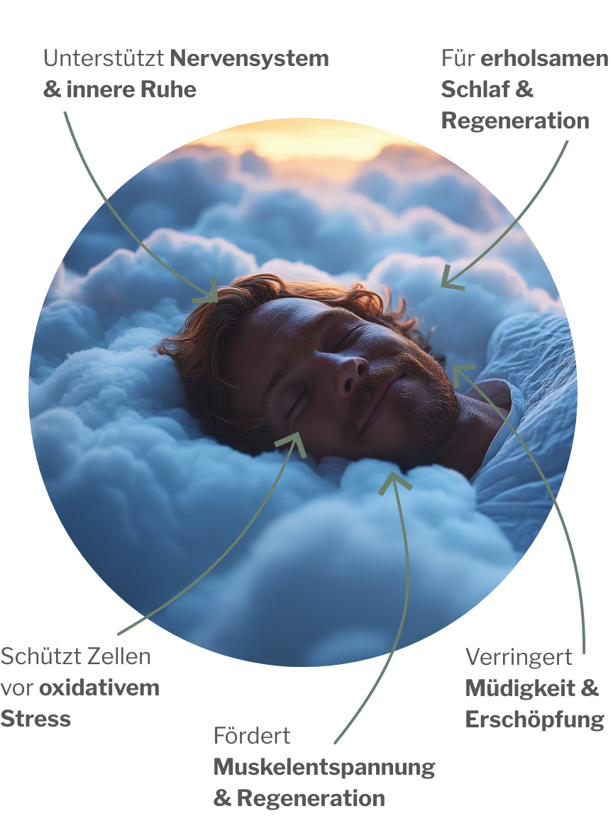 Antioxidative Wirkung von Active H mit den stärksten Antioxidantien weltweit für Regeneration und Erholung während der Nacht