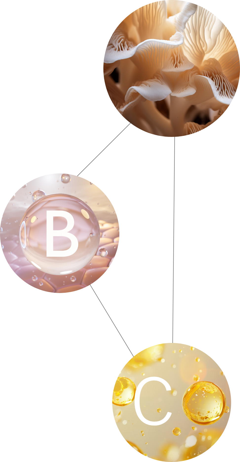 Synergien und Cofaktoren bei PlastiCLEAN