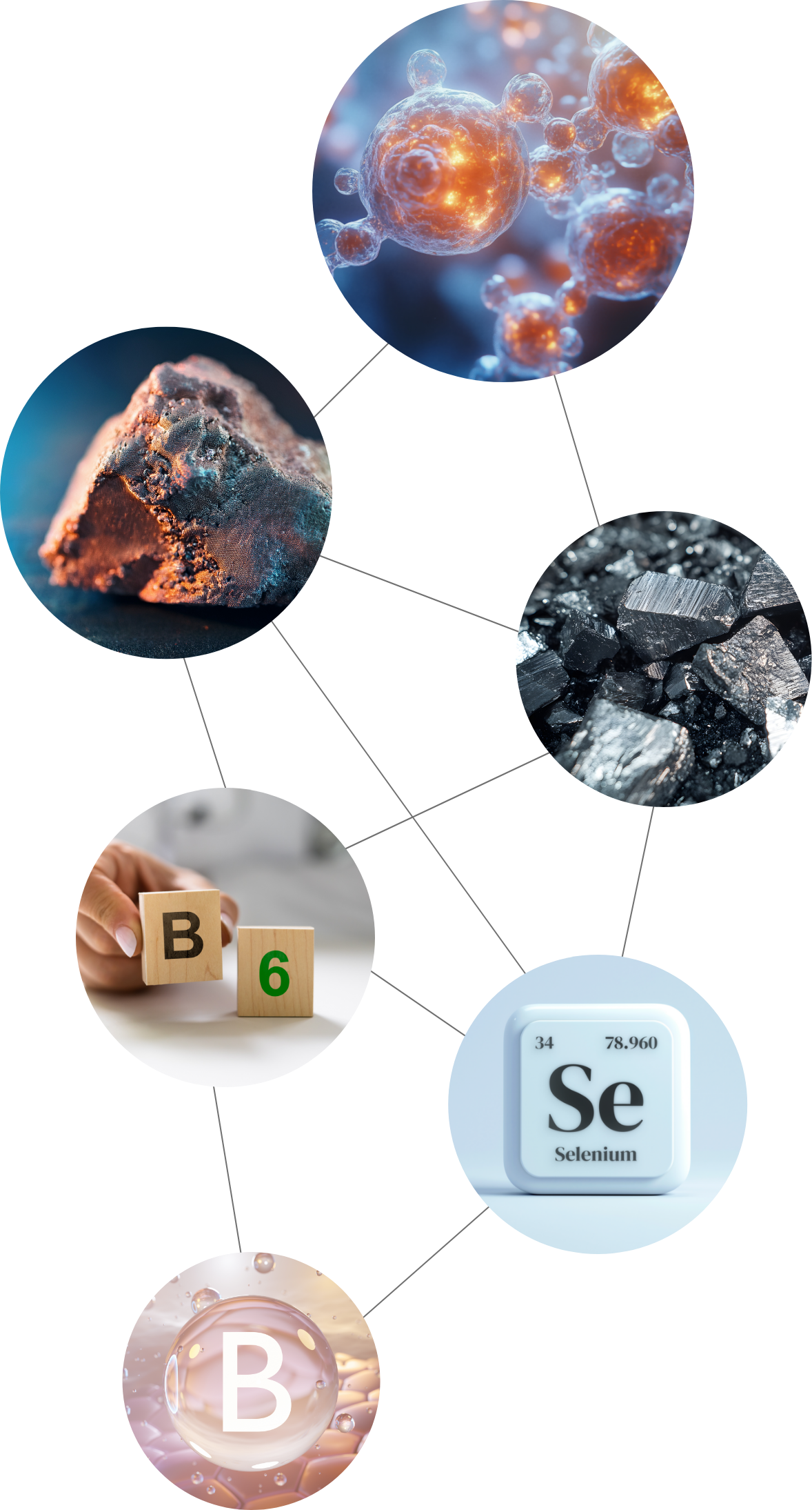 Synergie-Prinzip von Active H day: Kolloidaler Siliziumkomplex mit Co-Faktoren zur Verstärkung der Antioxidantien