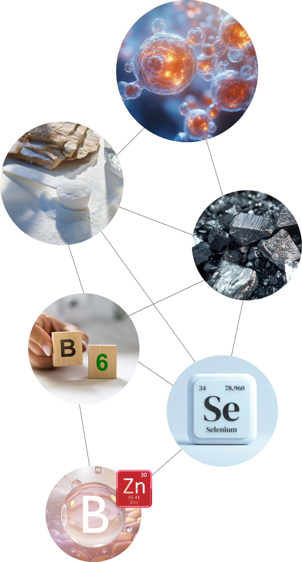 Synergie-Prinzip von Active H night: Kolloidaler Siliziumkomplex mit Co-Faktoren zur Verstärkung der Antioxidantien