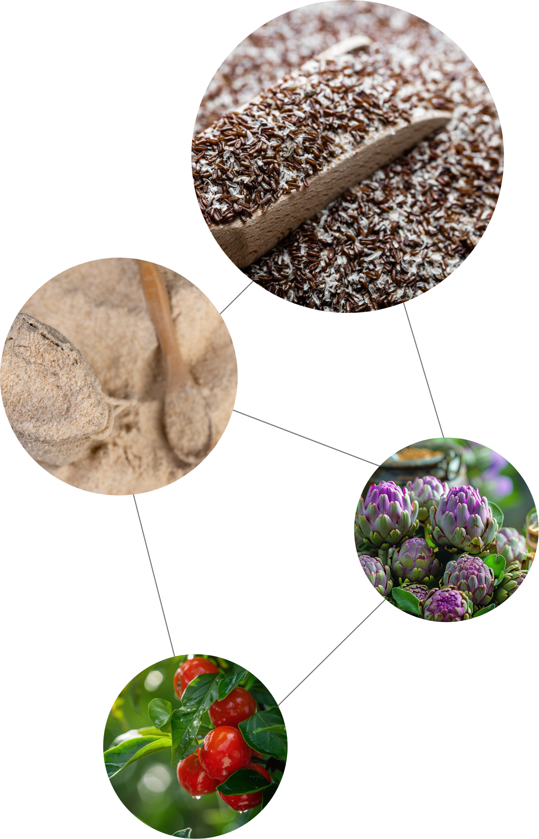 Co-Faktoren ColoSTABIL