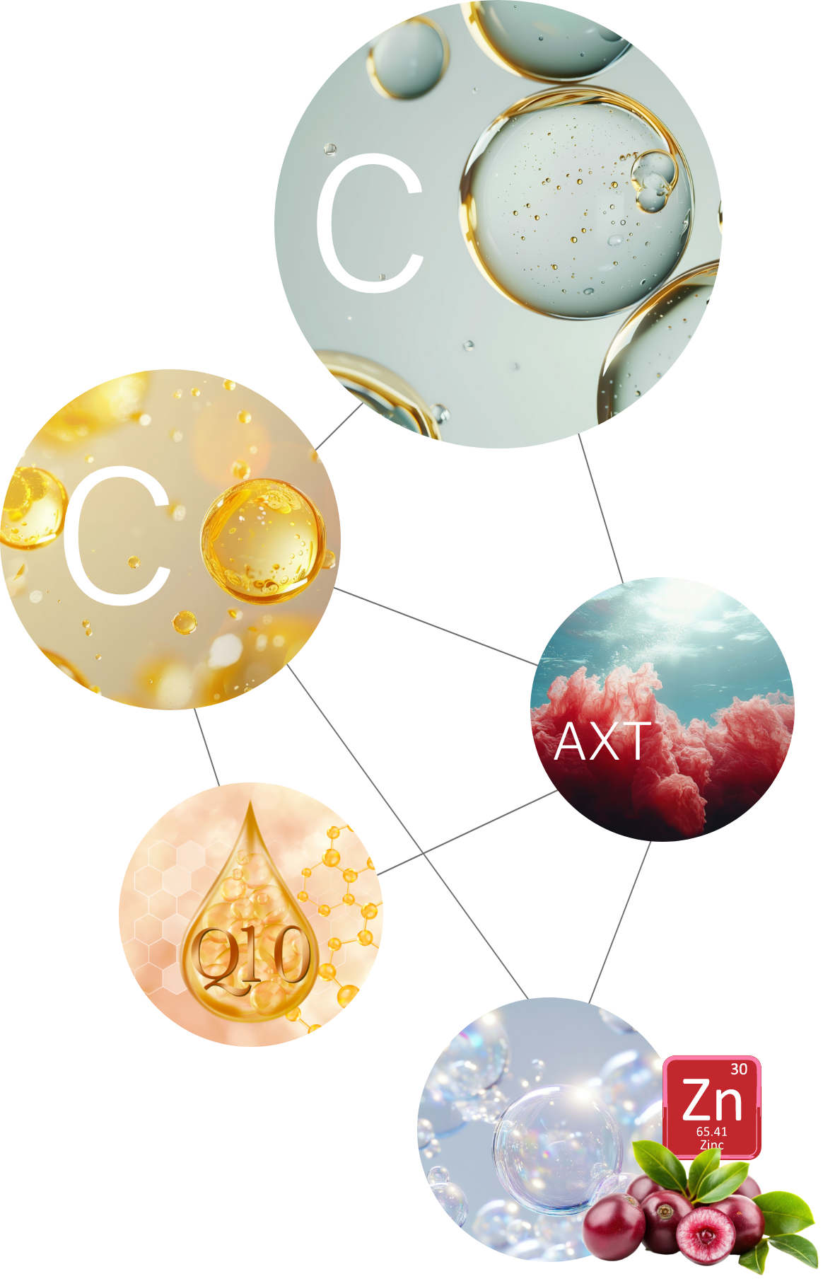 Synergie-Prinzip von EyeCQ: Wasserlösliches und fettlösliches Vitamin C ergänzen sich für umfassenden Zellschutz