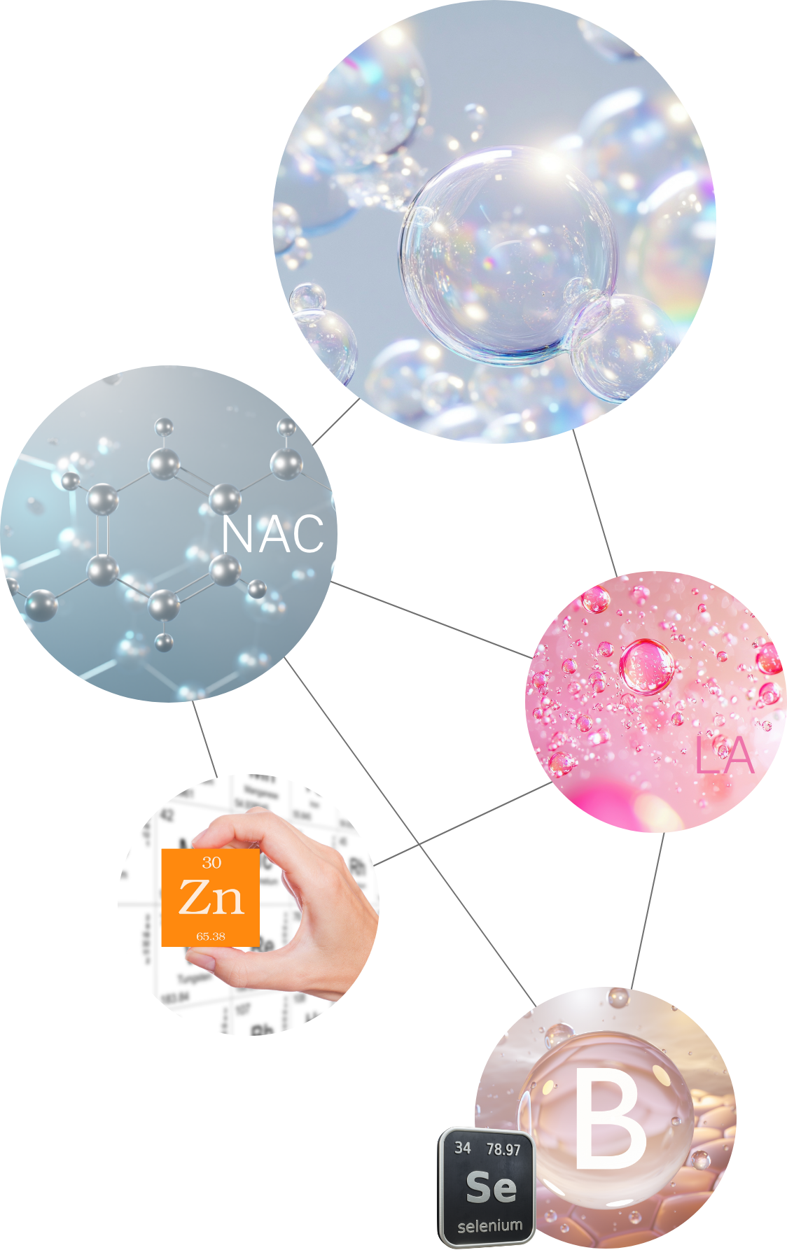 Synergie-Prinzip von Glutathion comp: Reduziertes Glutathion in Kombination mit NAC und Alpha-Liponsäure und Synergisten für die körpereigene zelluläre Entgiftung