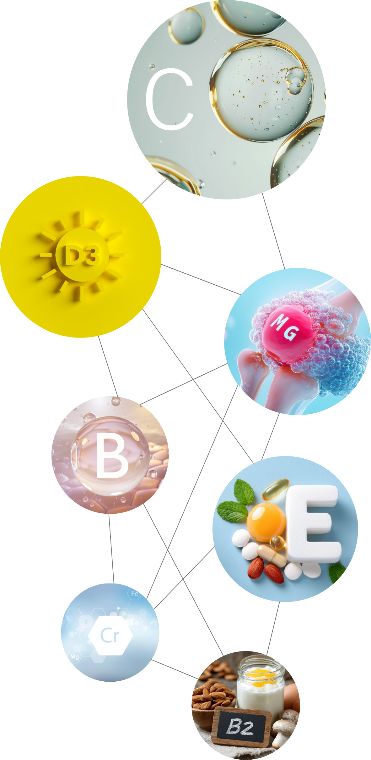 Co-Faktoren MultiPLUS