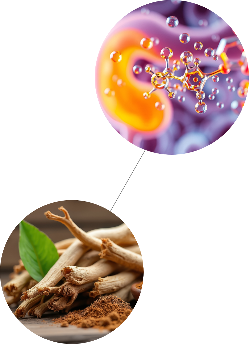 Co-Faktoren SerraZYM plus