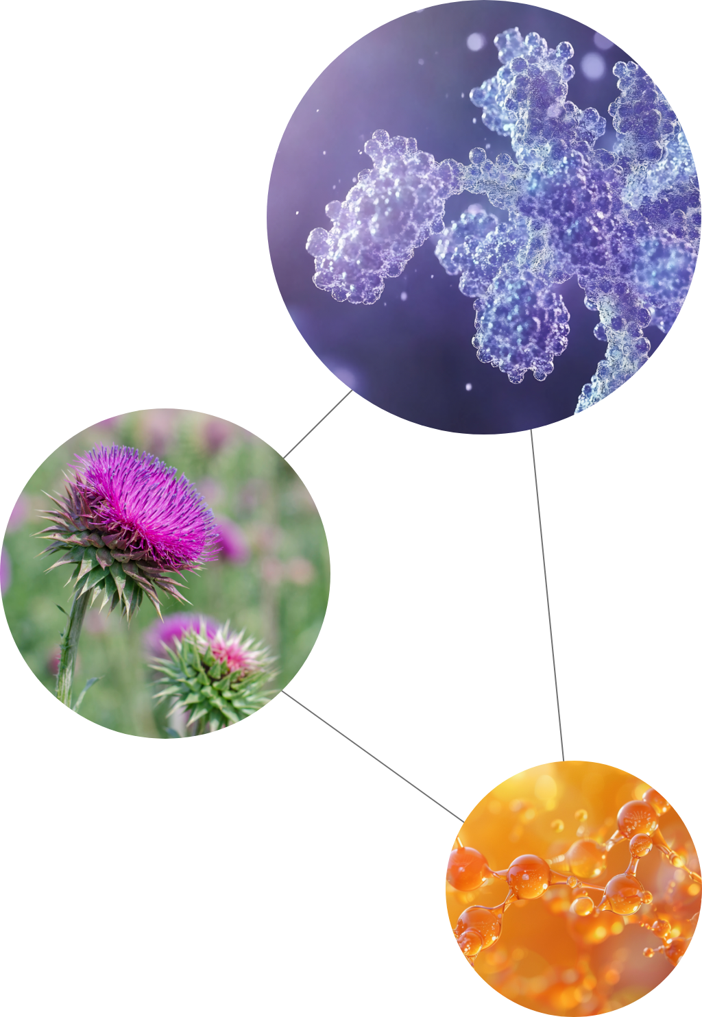 Co-Faktoren SpikaZYM plus