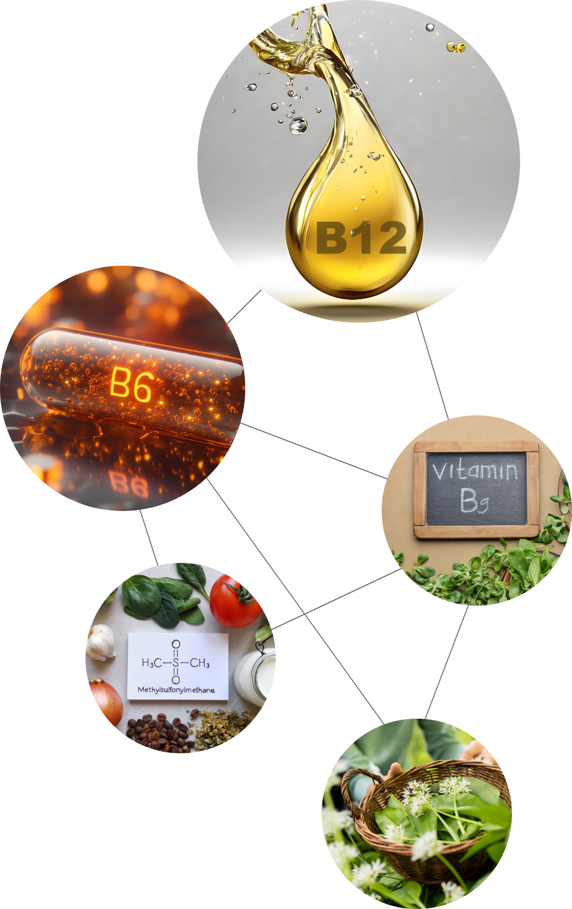 Co-Faktoren SulfoCLEAN