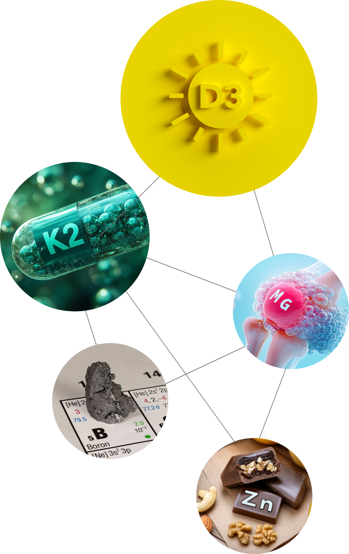 Co-Faktoren VitaDK plus