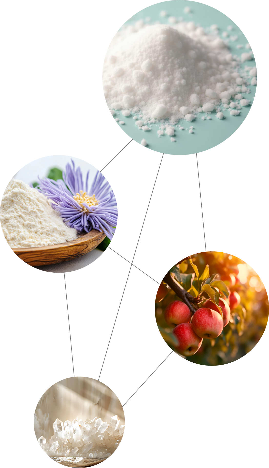 Synergie-Prinzip von VitalBASE: Vier Cofaktoren zur gegenseitigen Verstärkung für die Regulierung des Säuren-Basen-Haushalts