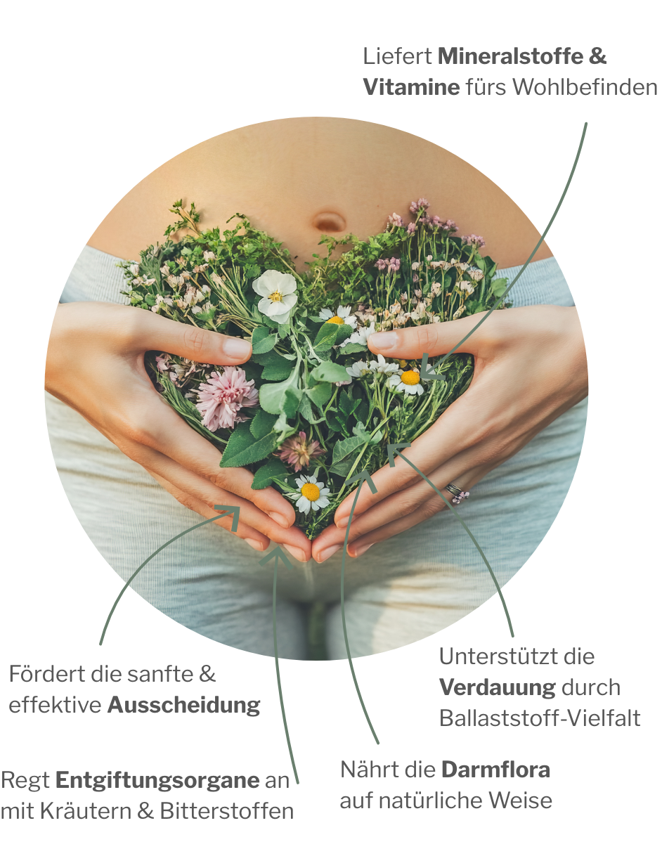 Wirkung von ColoSTABIL: Präbiotische Ballaststoffe für die Verdauung, Magen und Darm