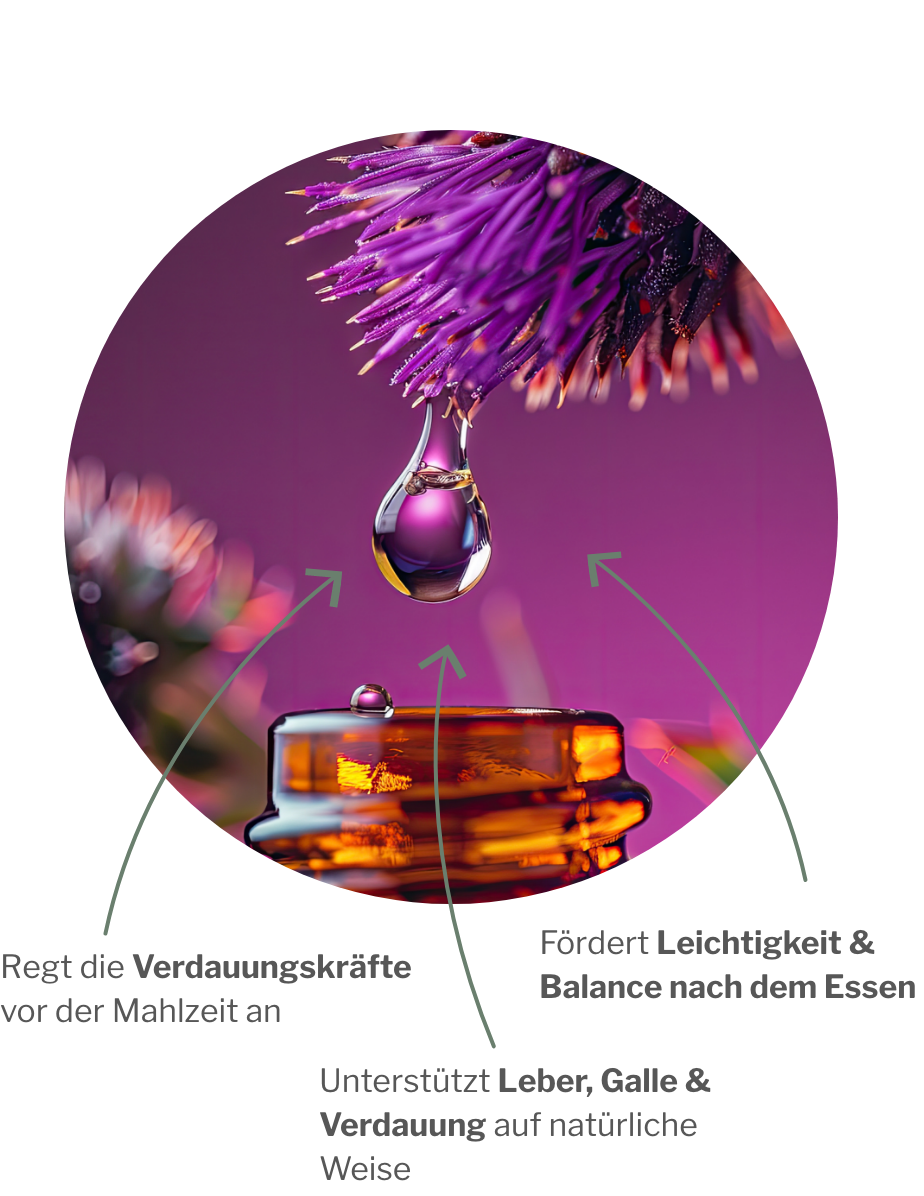 Wirkung von HepaCHI: Täglich vor dem Essen für Leber und Galle