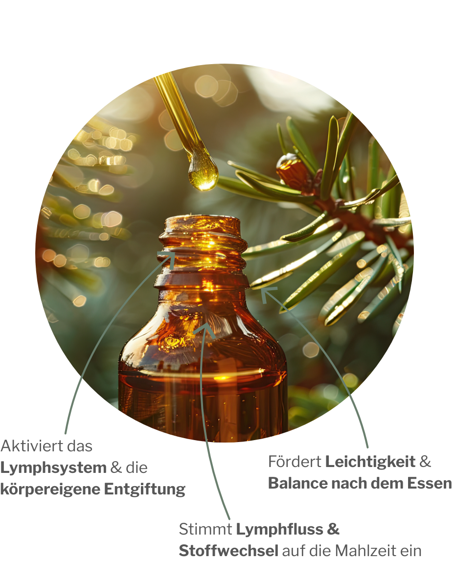 Wirkung von LympoCHI: Täglich vor dem Essen für eine starke Lymphe und Entgiftungssystem