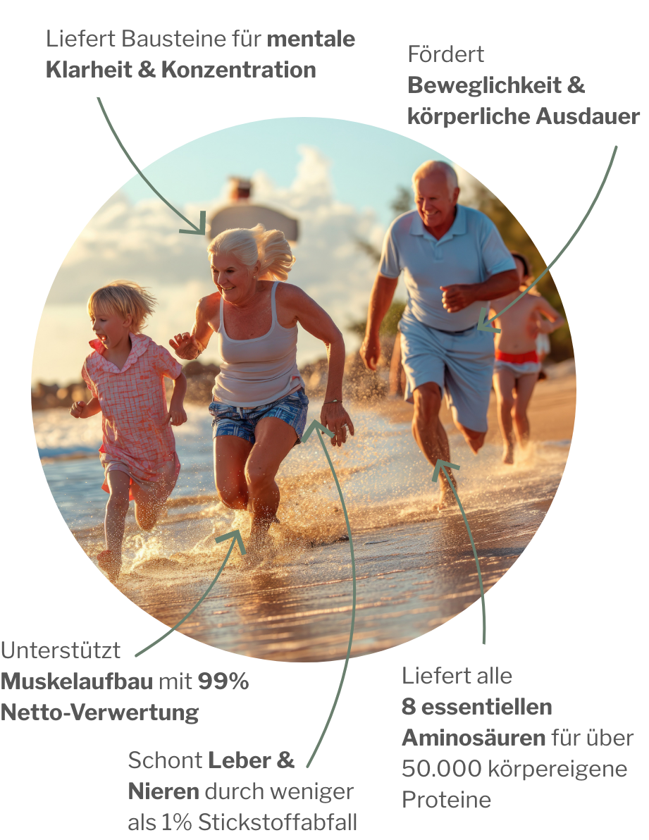 Wirkung von MyAMINO den acht essentiellen Aminosäuren zur Proteinernährung