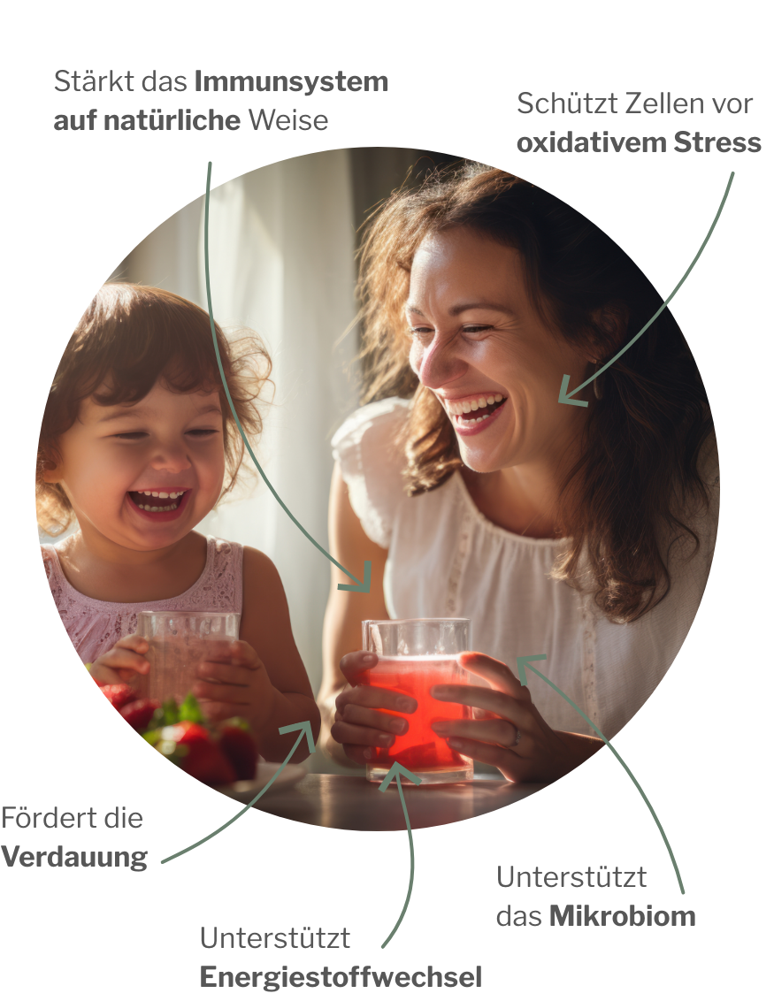 Wirkung von MyREGULATE dem probiotischen Fermentgetränk mit lebenden Milchsäurebaktieren