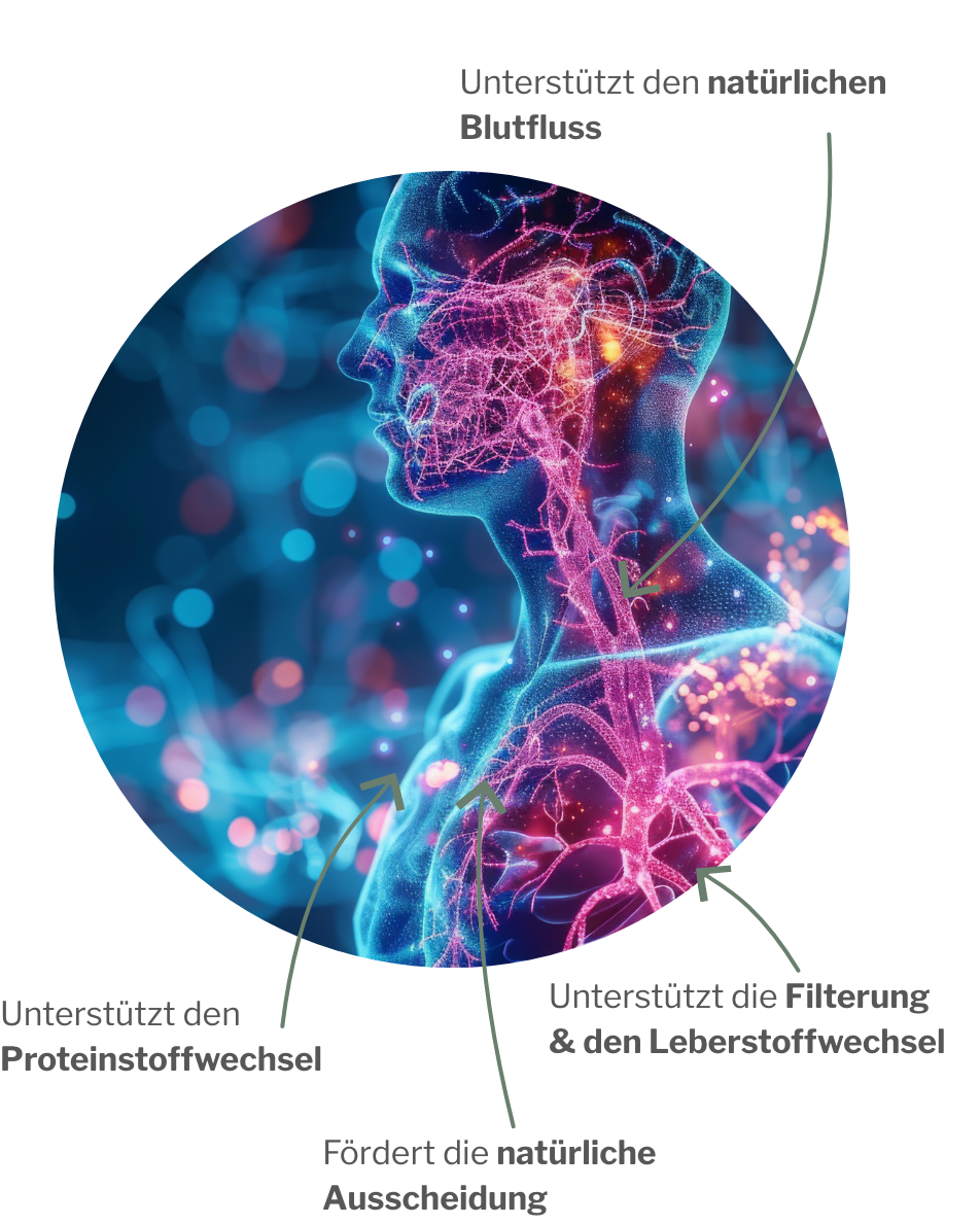 Anwendung von Enzyme von NattoZYM plus