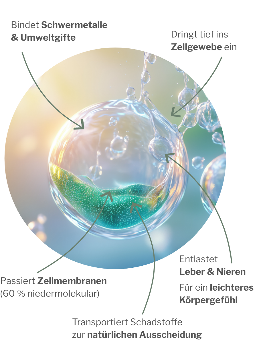 Niedermolekulares Pektin als bessere Alternative zu Chlorella und Spirulina zur Entgiftung