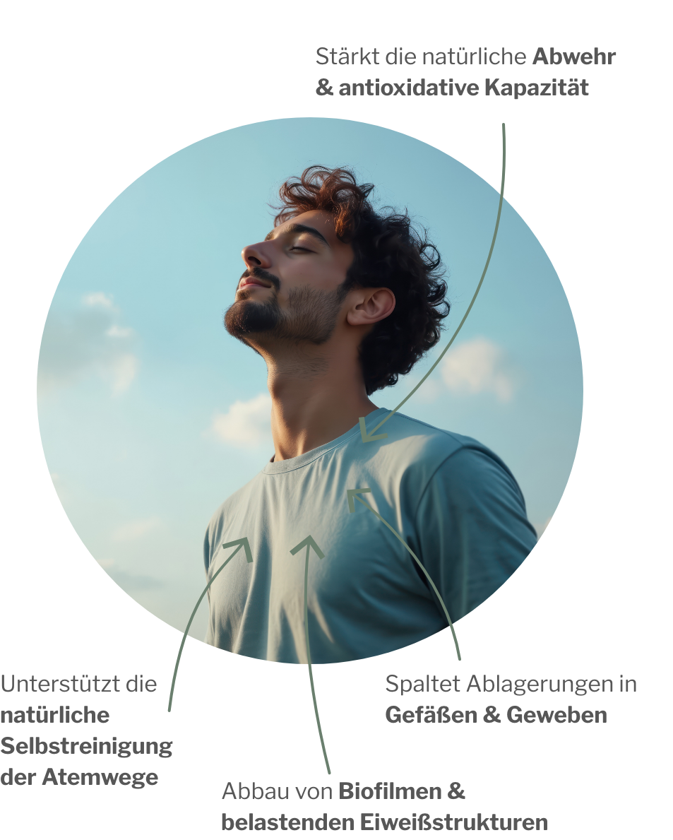 Anwendung von Enzyme von SerraZYM plus