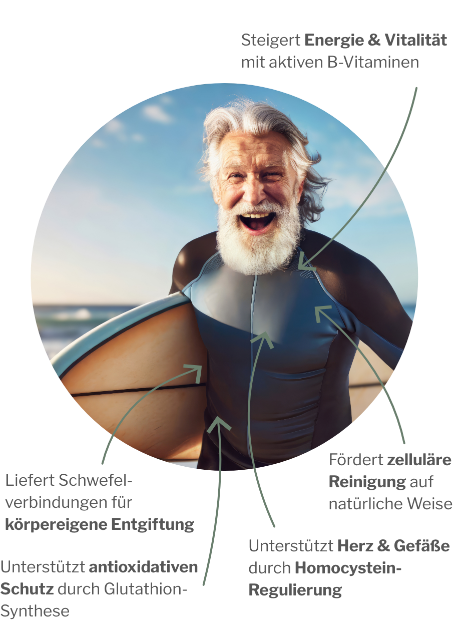 Wirkung von SulfoCLEAN: B-Vitamine und MSM bei der Unterstützung der körpereigenen Entgiftung