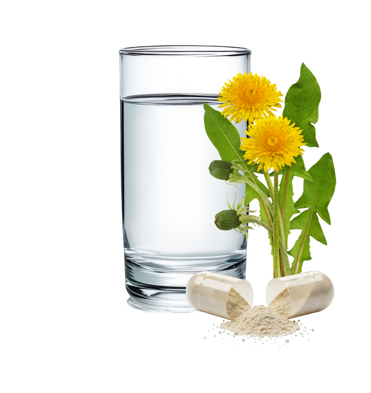 Verzehrempfehlung NattoZYM plus: 2 Kapseln täglich mit Wasser