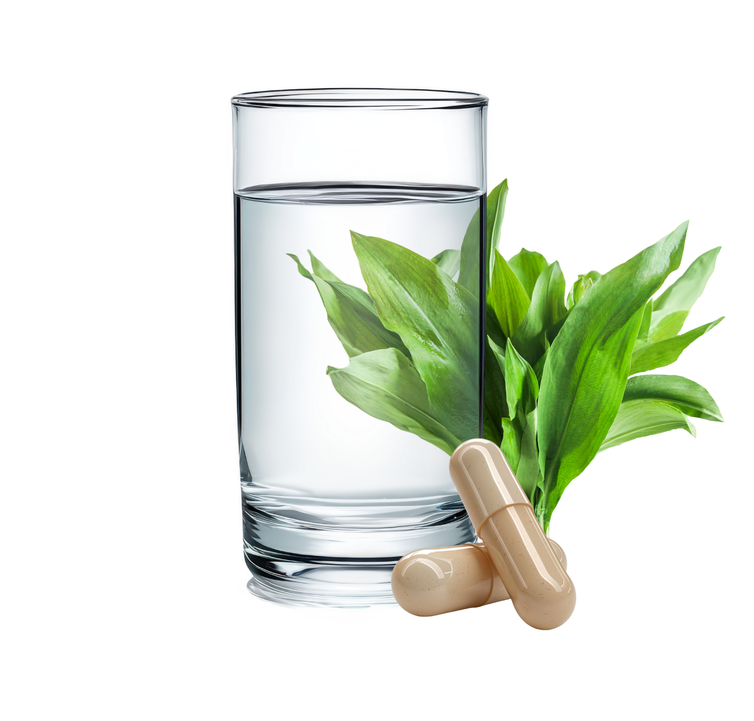 Verzehrempfehlung SulfoCLEAN: 2 Kapseln mit Wasser