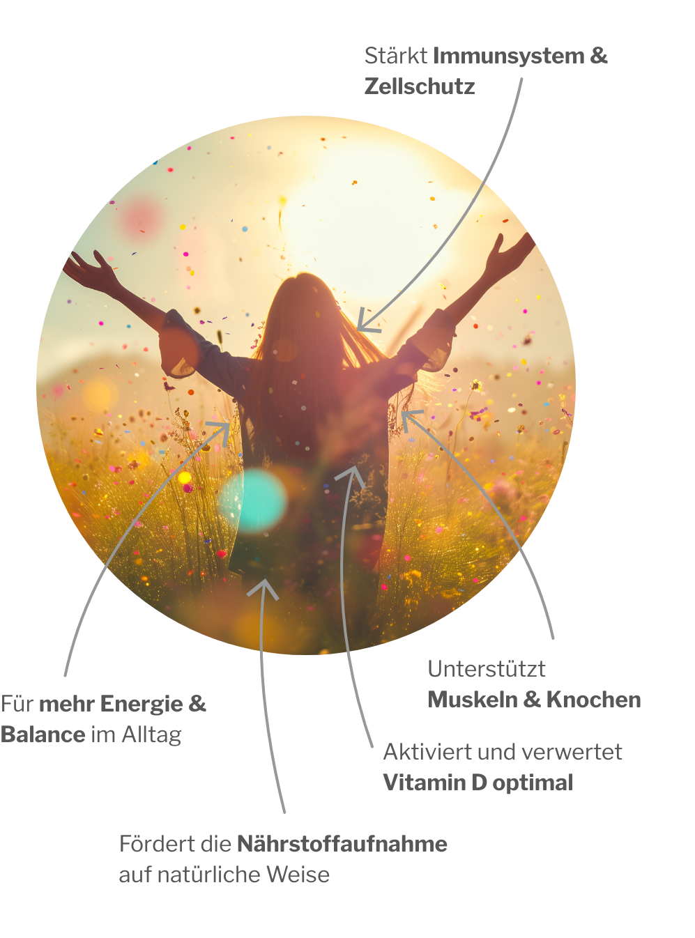 Wirkung von VitaDK plus