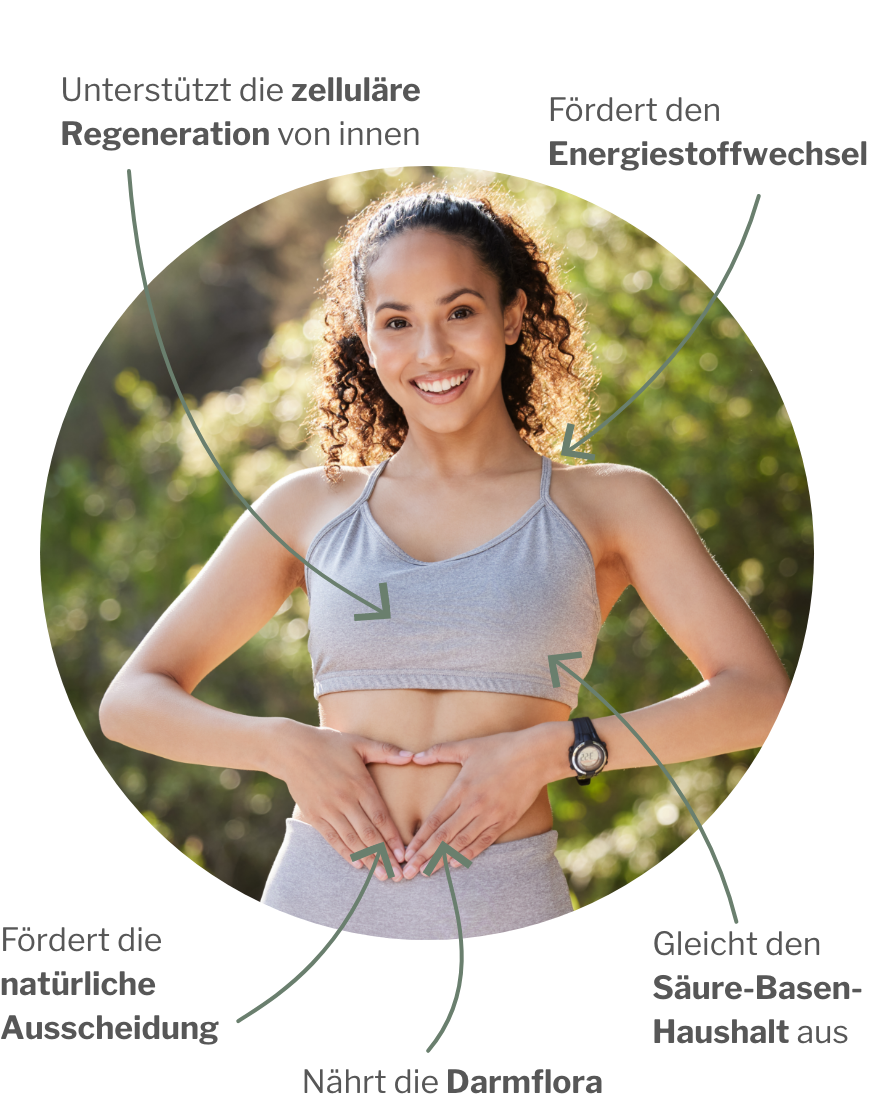 Wirkung vom Ballaststoff- und Basen-Paket mit Apfelpektin, Inulin, präbiotischen Ballaststoffen und basischen Mineralien