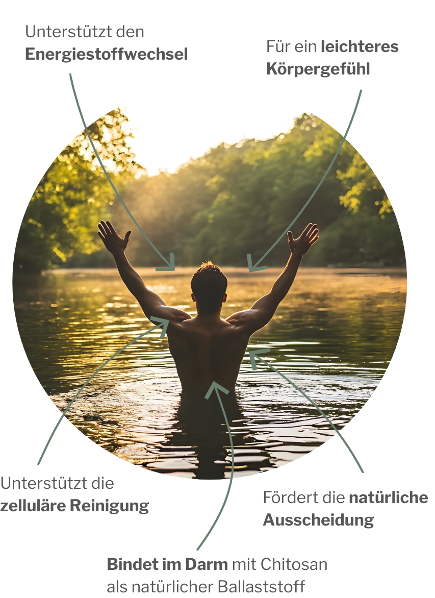 Basisdetox-Paket zur zellulären und darmaktiven Entgiftung von schädlichen Stoffen im Körper