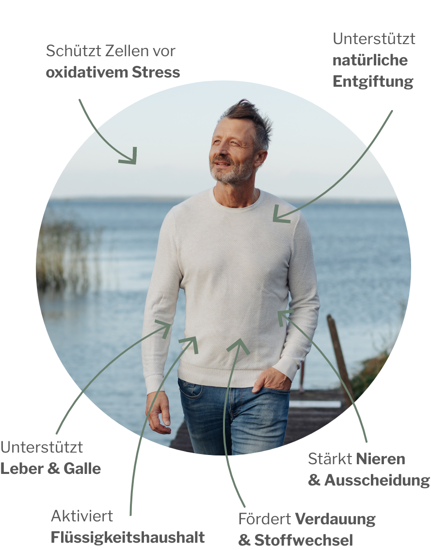 Wirkung von ChiDetox: Täglich vor dem Essen für Lebern und Nieren und die ganzheitliche Entgiftung