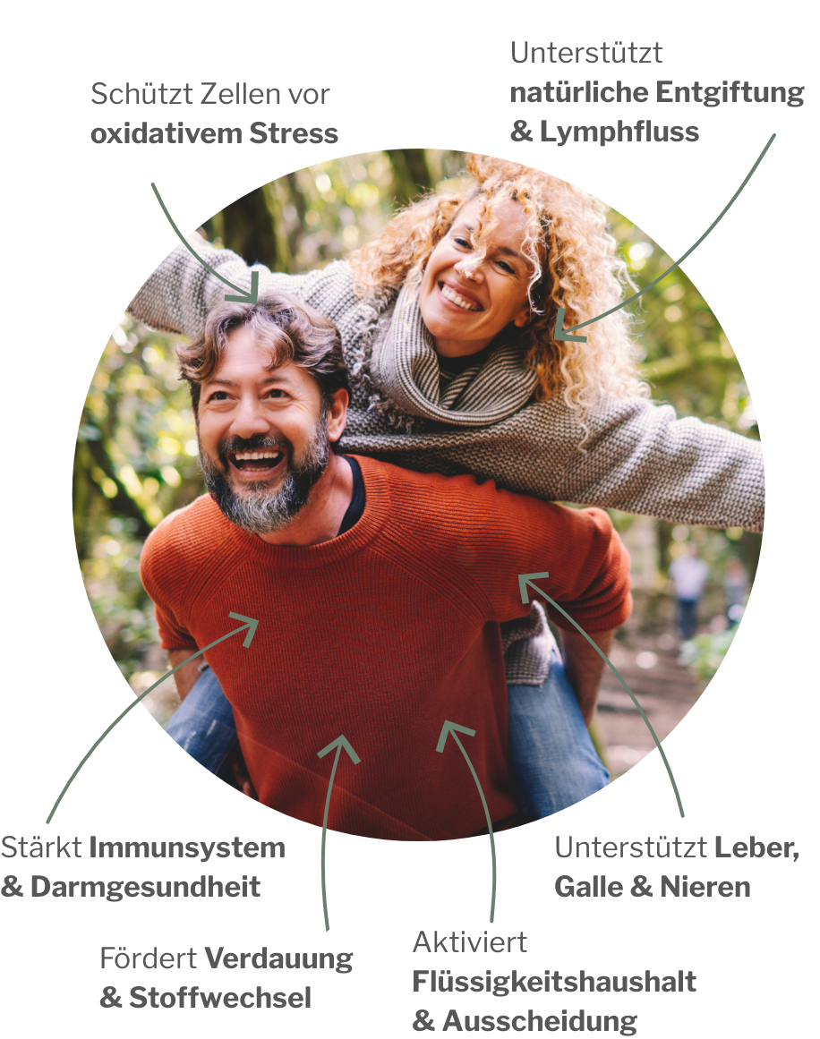 Wirkung von ChiVital: Täglich vor dem Essen zur ganzheitlichen und natürlichen Unterstützung von Darm, Lymphe, Nieren, Leber und Entgiftung