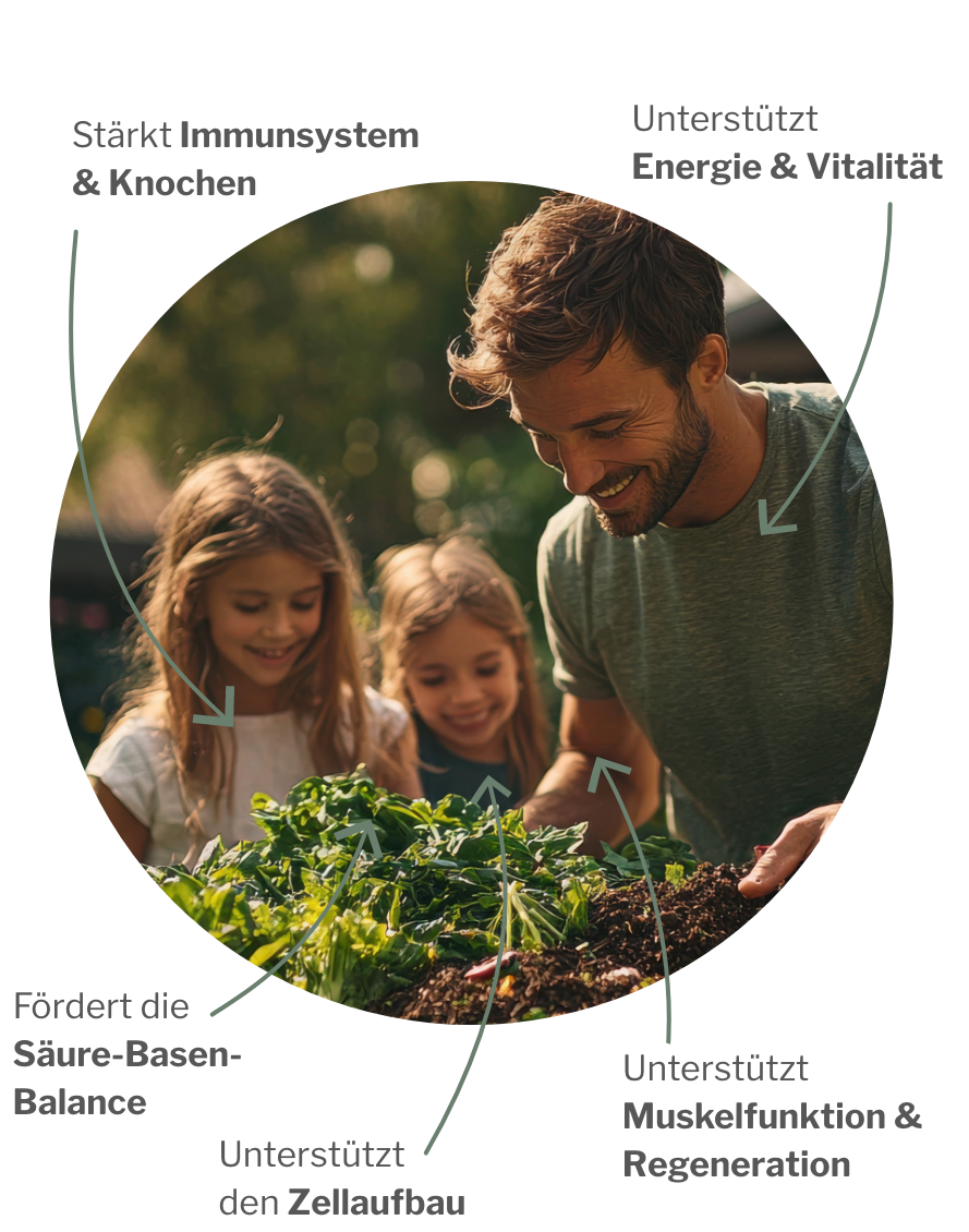 Wirkung von MyAMINO, VitaDK plus und VitalBASE im DailyEssentials Paket – Zufuhr der wichtigsten Nährwerte Tag für Tag