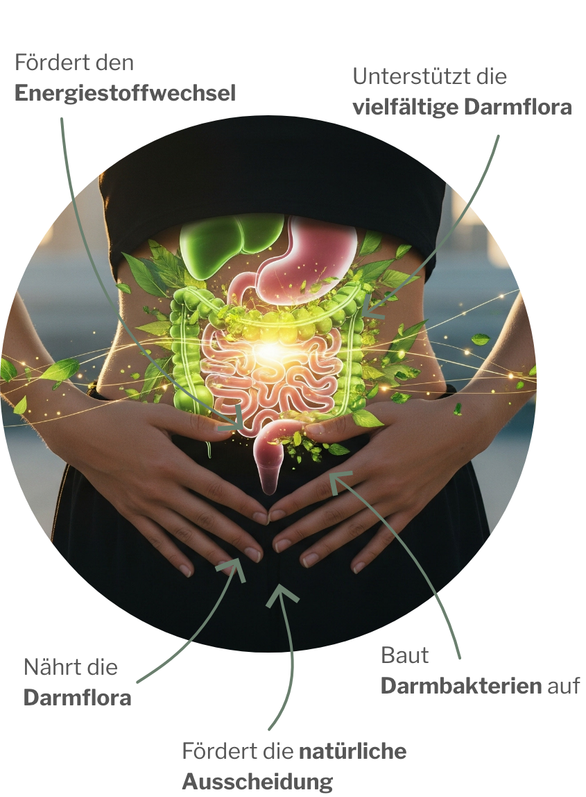 Darmflora aufbauen und füttern mit dem Darmflora-Paket mit MyREGULATE und ColoSTABIL