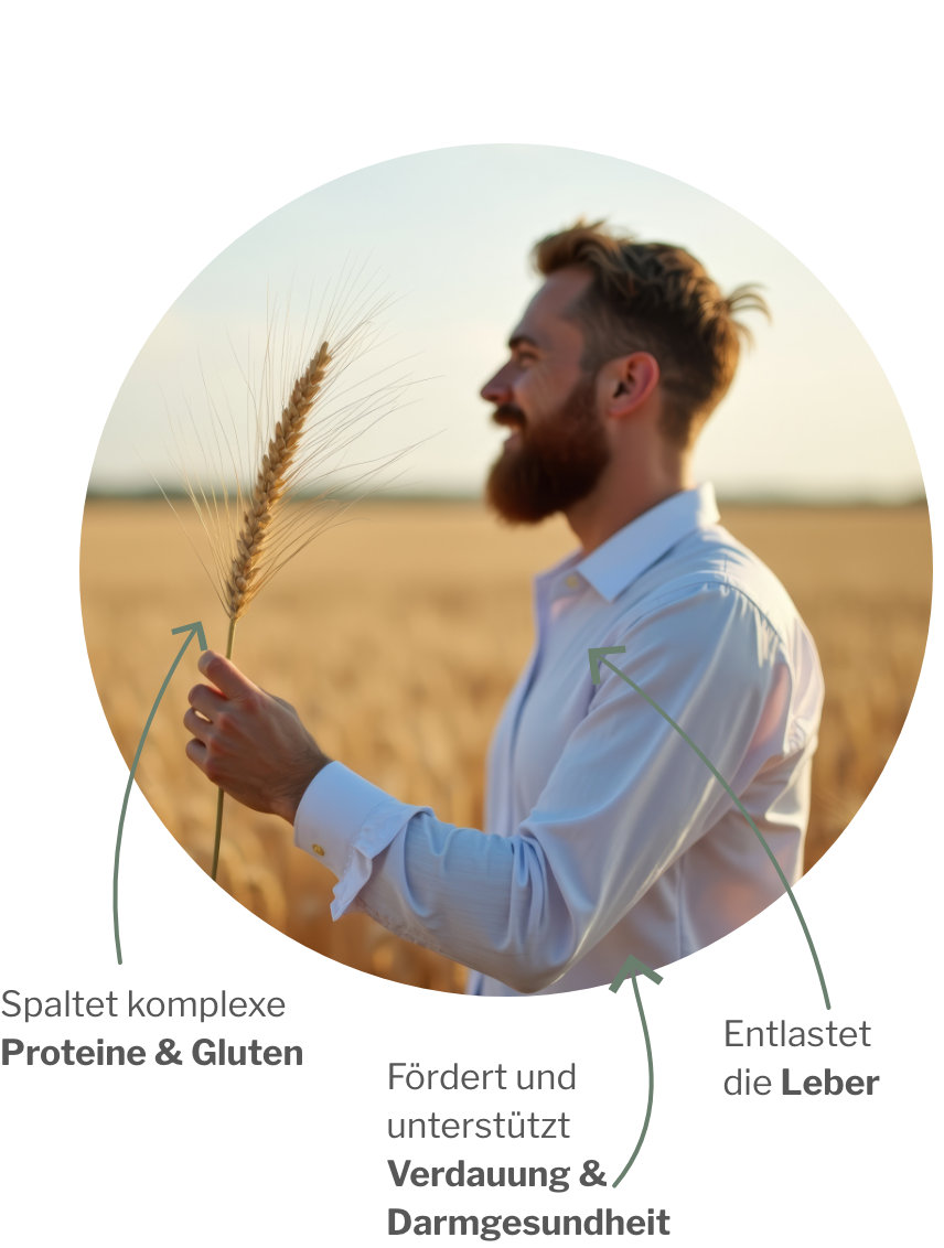 Gluten abbauen und Proteine spalten und Darmflora pflegen mit Enzym- und Darmpaket