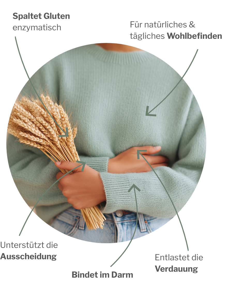 Vitalpaket für Glutenunverträglichkeit mit Enzymen und Chitosan zur Vorbeugung von Darmproblemen, Blähungen und Verstopfung