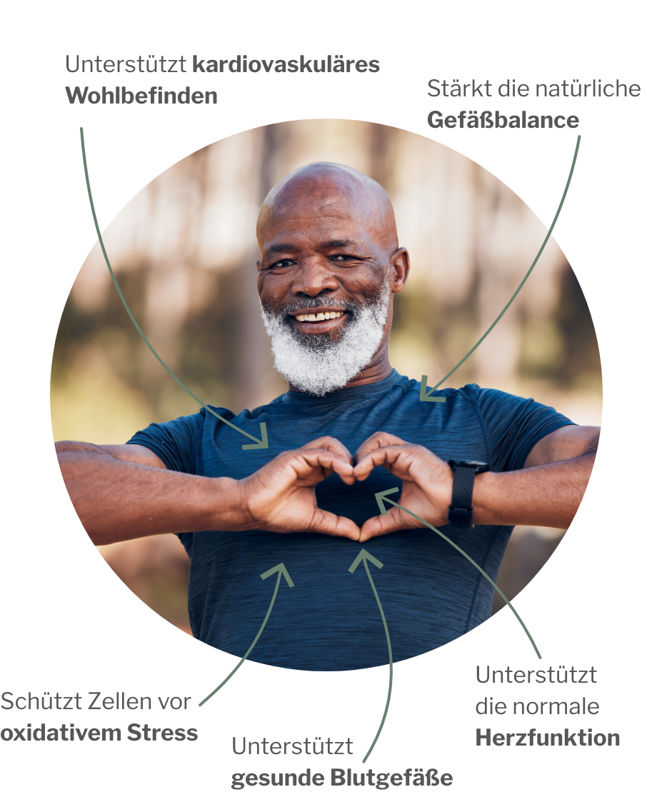 Wirkung vom Herz- und Cardiopaket mit Omega 3 und Nattokinase