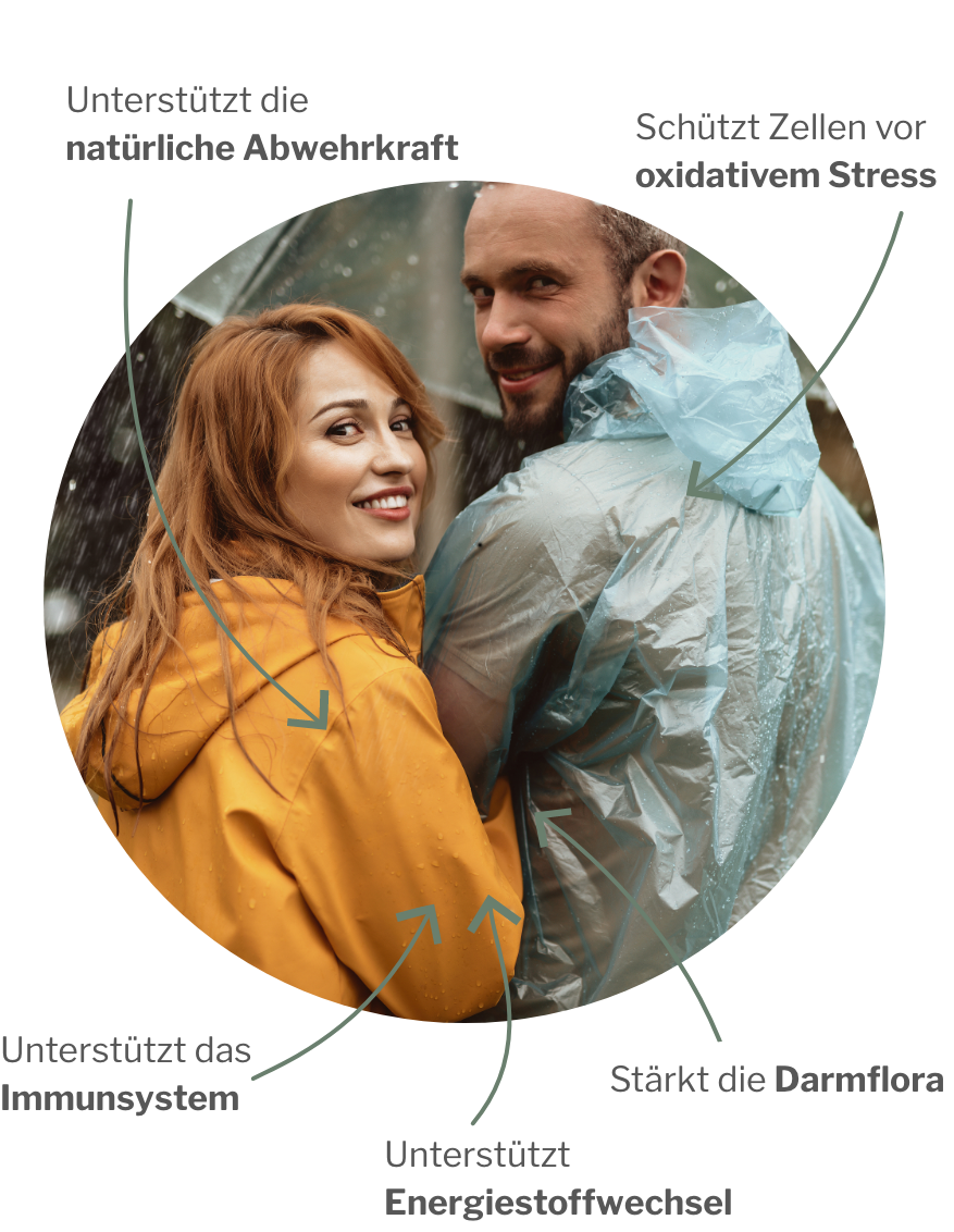 Immunsystem stärken und pflegen mit MyREGULATE und EyeCQ