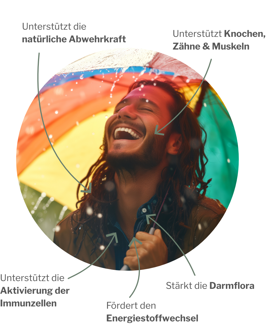 Immunsystem systematisch stärken mit MyREGULATE und Vitamin D3 durch VitaDK plus