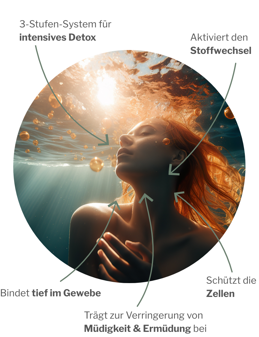 Veganes Paket zur intensiven zellulären Entgiftung von Schadstoffen und zum inneren Reset