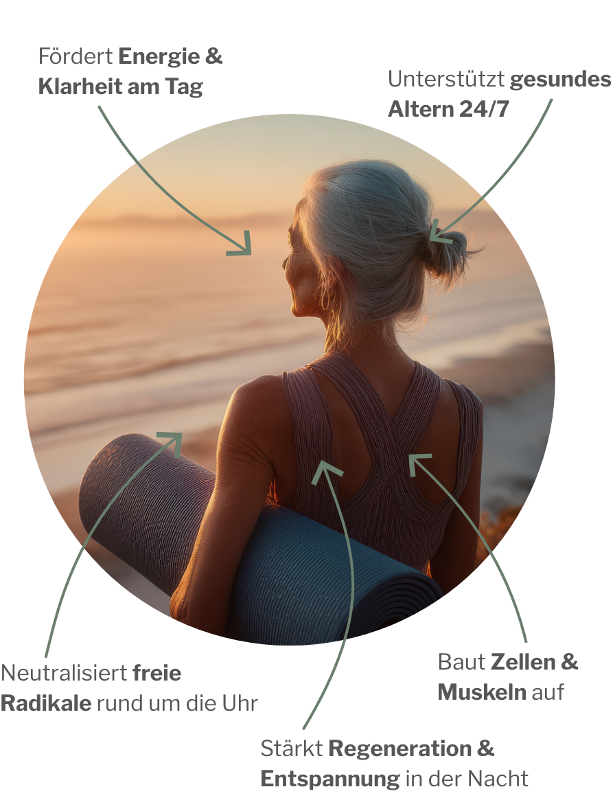 Antioxidative Wirkung von Active H mit den stärksten Antioxidantien gepaart mit MyAMINO den acht essentiellen Aminosäuren – Duo für deinen Jungbrunnen rund um die Uhr