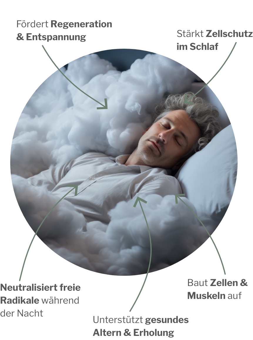 Antioxidative Wirkung von Active H mit den stärksten Antioxidantien gepaart mit MyAMINO den acht essentiellen Aminosäuren – Duo für deinen Jungbrunnen zur Regeneration in der Nacht