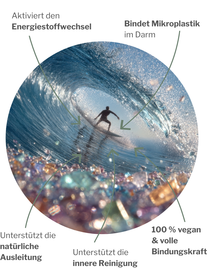 Veganes Paket zur Ausleitung von Mikroplastik und anschließender Stoffwechselaktivierung mit MSM und B-Vitaminen und pflanzlichem Chitosan