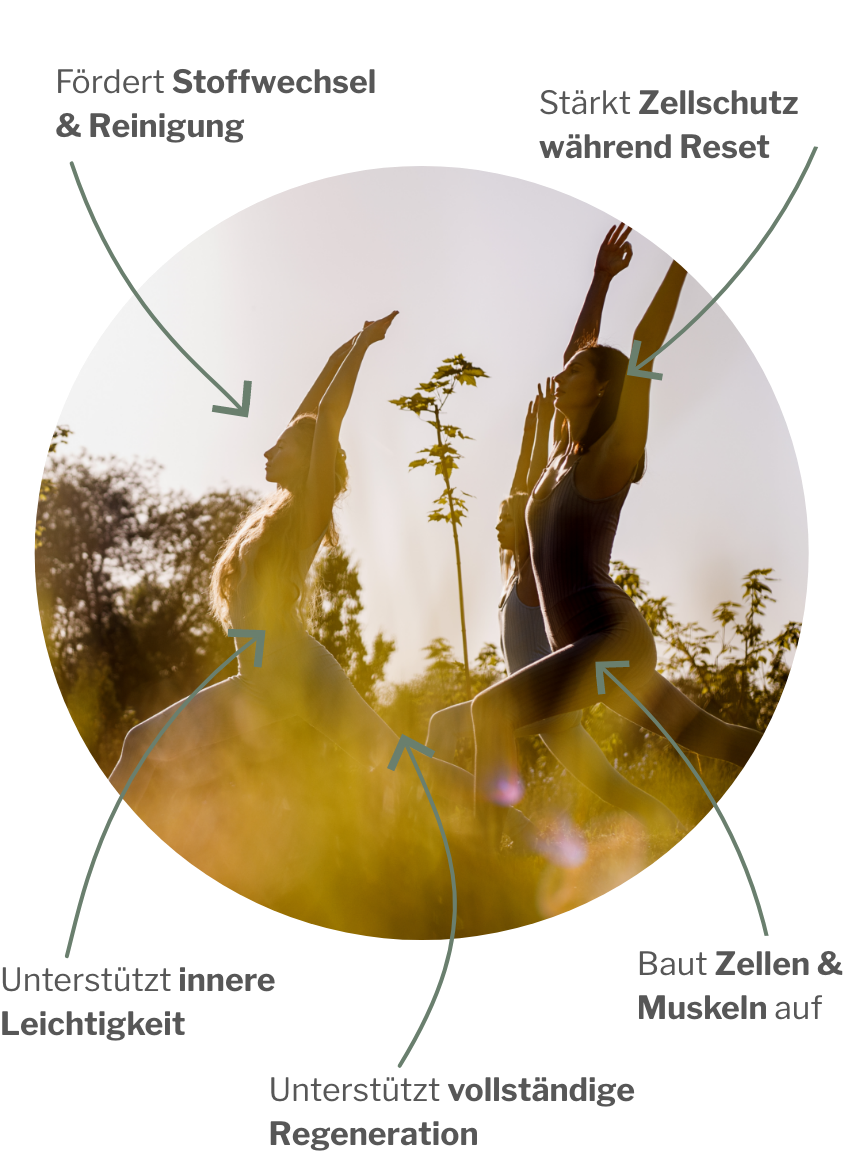 Detox und Regeneration mit Glutathion und MSM und anschließendem Substanzaufbau mit den 8 essentiellen Aminos