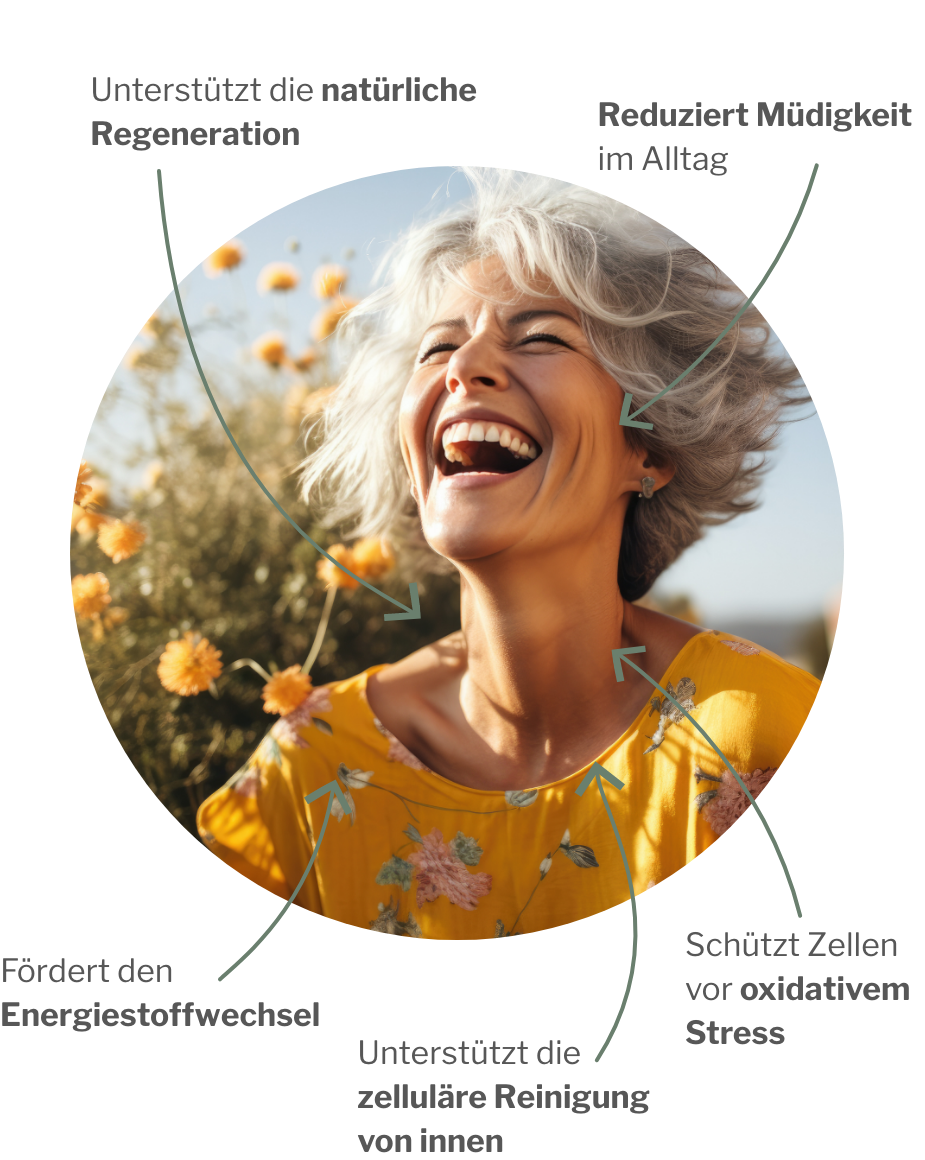 Wirkung vom Regenerations- und Detoxpaket mit Gluathion und MSM und B-Vitaminen